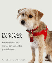 Collar Para Perro Cuero Pastel Lila y Sandia