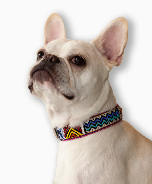 Collar Para Perro Artisan Kamsa