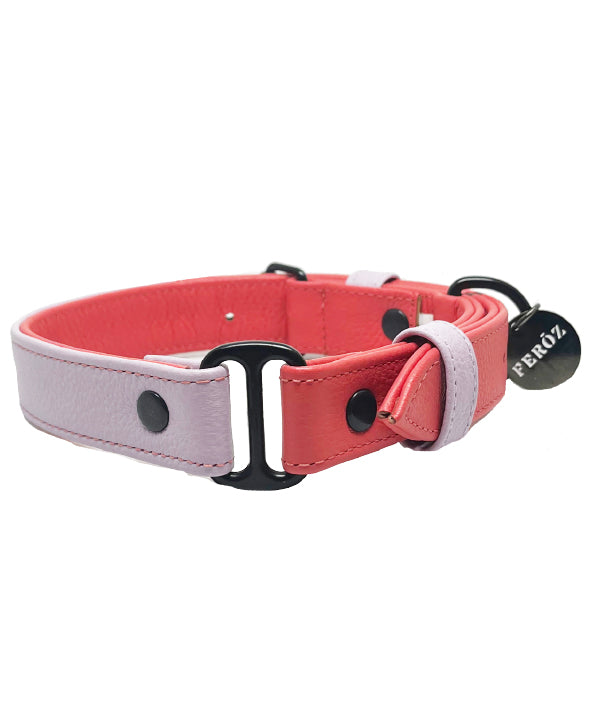 Collar Para Perro Cuero Pastel Lila y Sandia