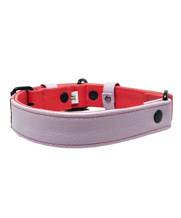 Collar Para Perro Cuero Pastel Lila y Sandia