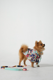 Dog Shirt Abstract City