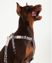 Arnés Para Perro Reata Leopardo Rosa
