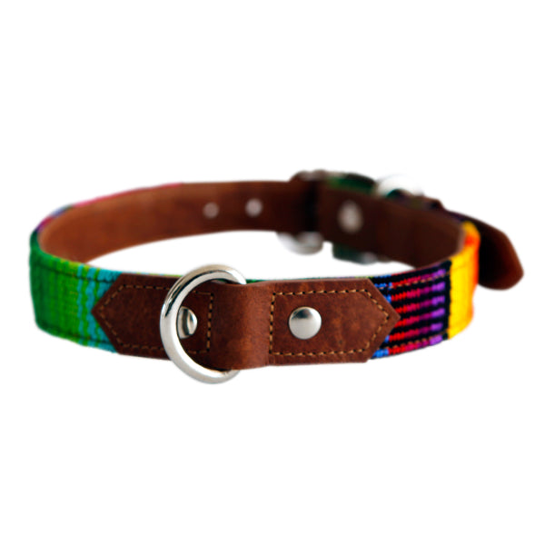 collar para perro