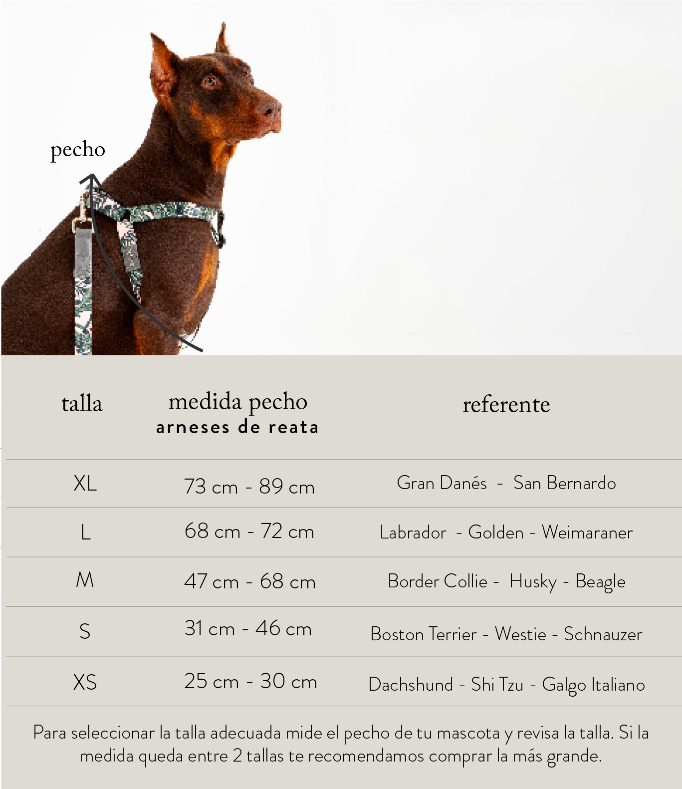 Arnés Para Perro Reata Hojas Rosadas