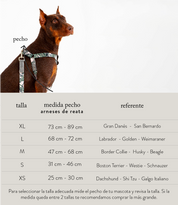 Arnés Para Perro Reata Hojas Rosadas