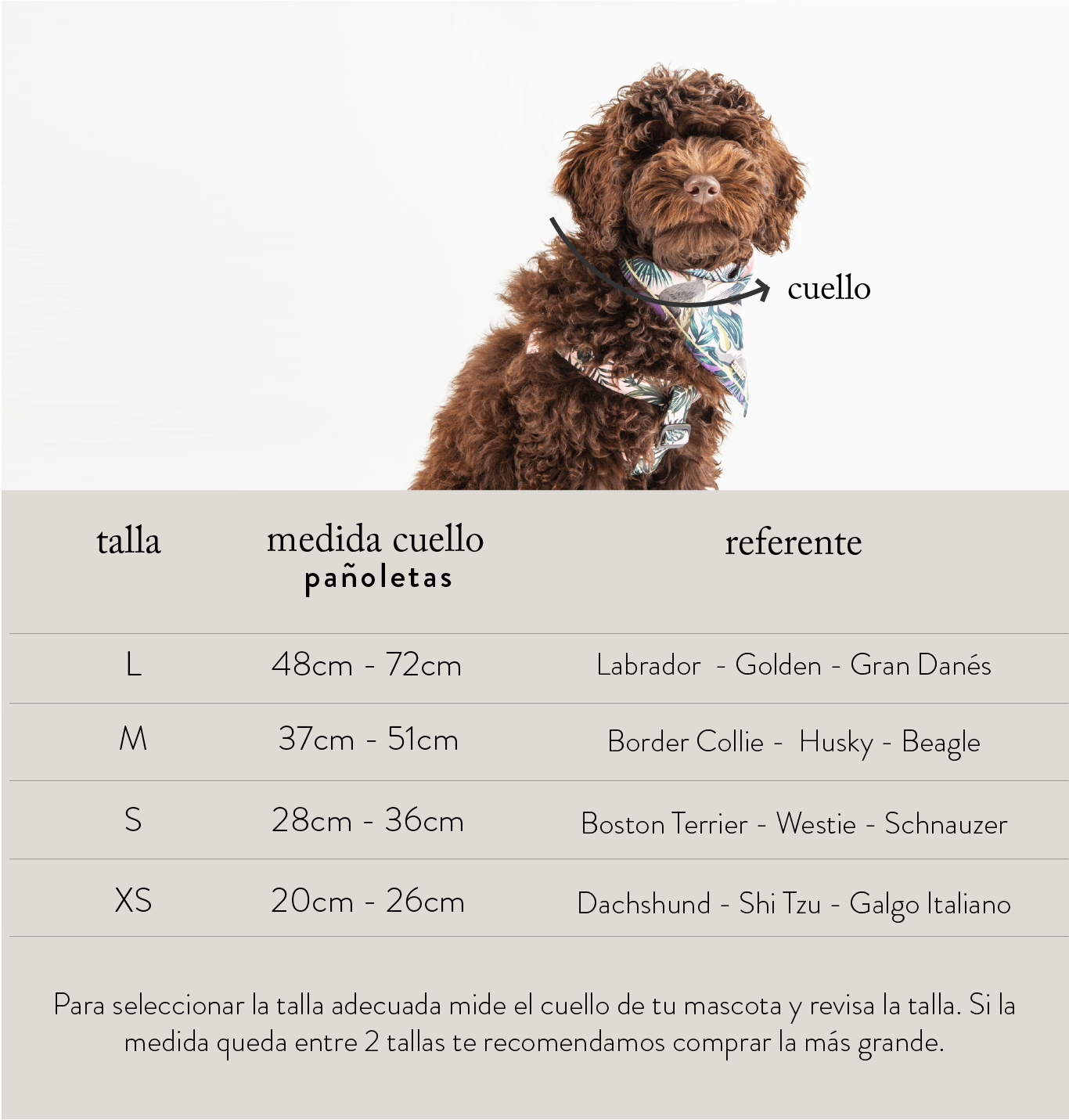 guiadetallaspanoletas_a75a1189-02aa-446b-9d0a-f0283b037543.png