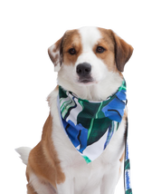 Pañoleta Para Perro y Gato Tropical
