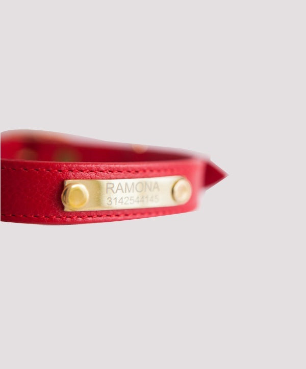 rojo-placa_8fce2415-9a34-49c7-8075-e3aef29cace9.jpg